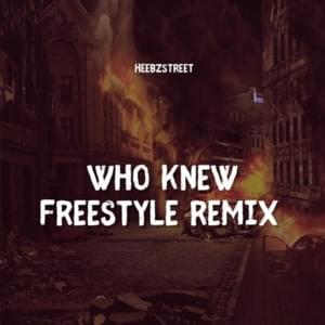 Who Knew (Freestyle Cover) - HeebzStreet