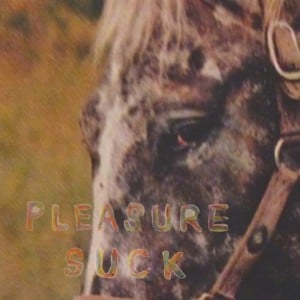 Pleasure Suck II - SPIRIT OF THE BEEHIVE