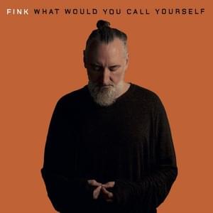 What Would You Call Yourself - Fink