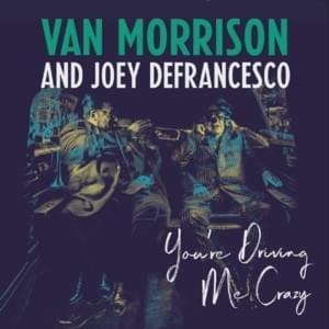 Hold It Right There - Van Morrison (Ft. Joey DeFrancesco)