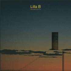 Lilla B - Hov1