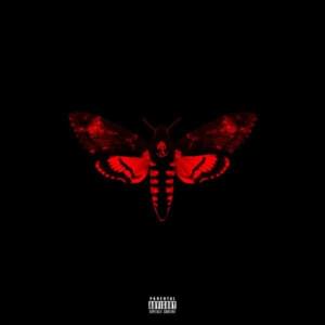 Lil Wayne - Days And Days (ft. 2 Chainz) (Traduction Française) - Lyrxo traductions françaises