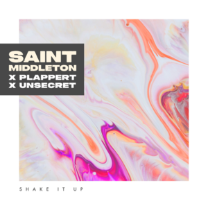 Shake It Up - Saint Middleton, UNSECRET & Plappert