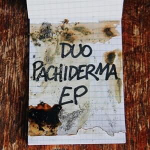 Mi sto rappando sotto - Duo Pachiderma