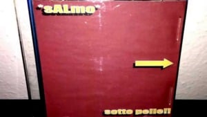 Saturday Killer - Salmo