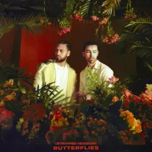 Butterflies (Stripped Version) - MAX & Ali Gatie