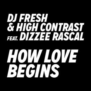 How Love Begins - DJ Fresh (Ft. Dizzee Rascal & High Contrast)