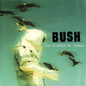 The Chemicals Between Us - Bush