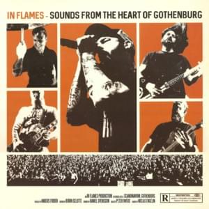 The Mirror’s Truth - Live - In Flames