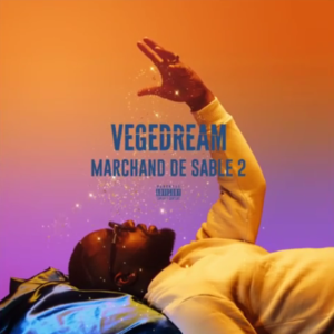 Pas comme ça - Vegedream