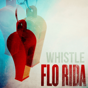 Whistle (Disfunktion Remix) - Flo Rida