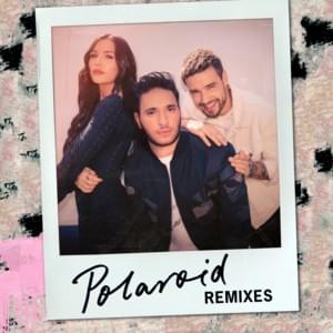 Polaroid (Nolan van Lith Remix) - Jonas Blue (Ft. Lennon Stella & Liam Payne)