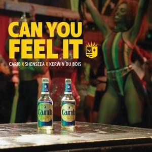 Can You Feel It - Kerwin Du Bois (Ft. Shenseea)