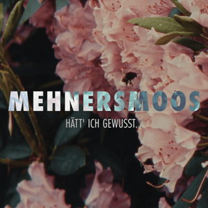 Hätt ich gewusst - Mehnersmoos