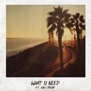 What U Need - ​iKON (Ft. Kali Skrap)