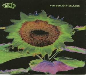 You Wouldn’t Believe - 311