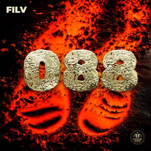 088 - FILV