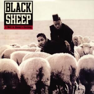 Try Counting Sheep - Black Sheep