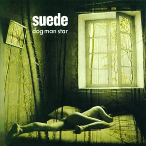 Still Life - Suede