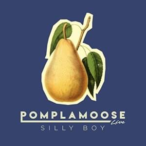 Silly Boy - Pomplamoose