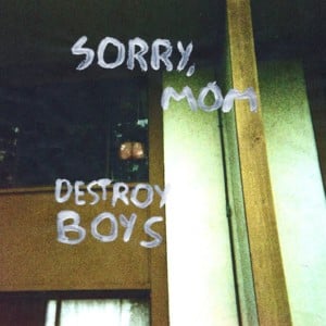 Word Salad - Destroy Boys