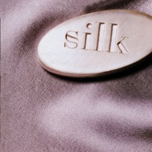 Because of Your Love - Silk