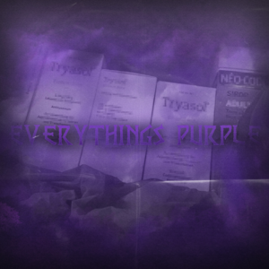 EVERYTHINGS PURPLE - t-low