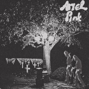 Dust #4 - Ariel Pink