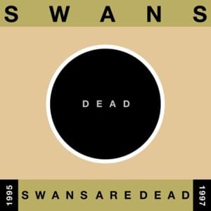 Not Alone - Swans