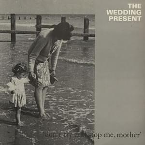 At The Edge Of The Sea - The Wedding Present