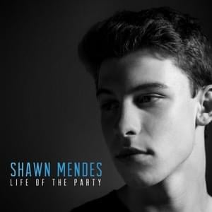 Life of the Party - Shawn Mendes