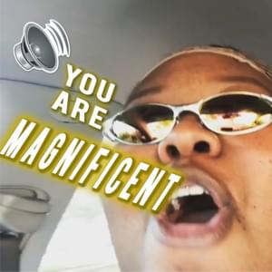 You Are Magnificent - The Gregory Brothers (Ft. ​jstlbby)