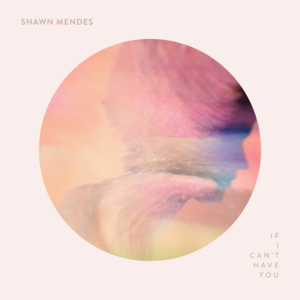 Shawn Mendes - If I Can’t Have You (Türkçe Çeviri) - Lyrxo Türkçe Çeviri