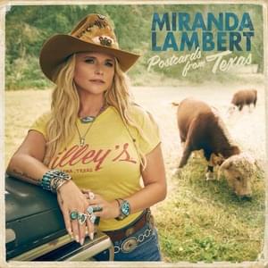 Armadillo - Miranda Lambert