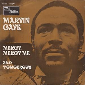 Mercy Mercy Me (The Ecology) - Marvin Gaye