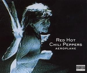 Transcending (Live) - Red Hot Chili Peppers