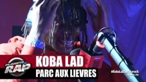 Parc aux Lièvres - Koba LaD