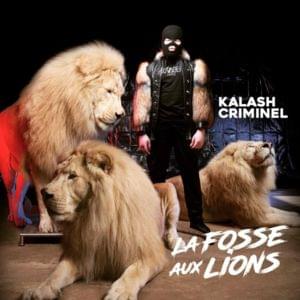 Dans la fosse - Kalash Criminel