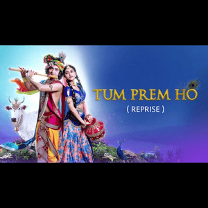 Tum Prem Ho - Reprise - Mohit Lalwani