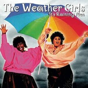 It’s Raining Men (Single Mix) - The Weather Girls