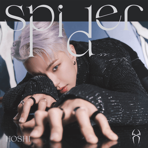 Spider - HOSHI (호시)