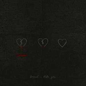 ​formal i hate you - JXHN PVUL & WEARETHEGOOD