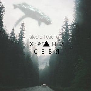 саспенс (saspens) - STED.D