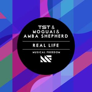 Real Life - Tiësto (Ft. Amba Shepherd & MOGUAI)