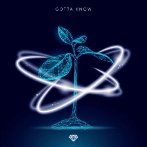 Gotta Know - Zach Diamond