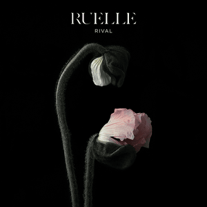 Secrets and Lies - Ruelle