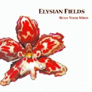 Oyster - Elysian Fields