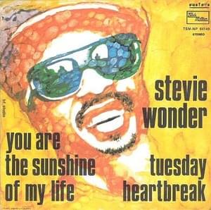 You Are the Sunshine of My Life - Stevie Wonder