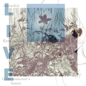 A Lamb’s Lullaby (Live From Someone’s House) - Temachii