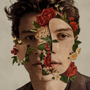 Particular Taste - Shawn Mendes